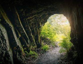 chemin menant à la Grotte de Font de Gaume